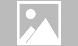 坂本漫画,青春校园的欢乐冒险之旅