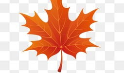 枫叶动漫,描绘东方奇幻的绚丽画卷