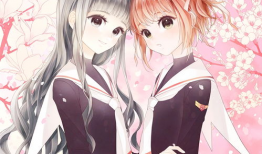 动漫把,动漫世界里的奇幻冒险之旅